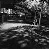 Photorecording #412　スポーツ、学歴、品格の不条理