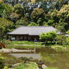 本堂　浄瑠璃寺