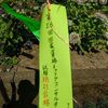 第26回国家資格キャリアコンサルタント試験(学科・論述・面接)まとめ【自己採点・感想投票】