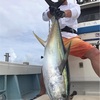 久米島キハダマグロ料理