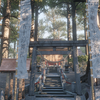 【VR日記】本物そっくり！実在する神社ワールド「五十鈴神社」で初詣でお参りしに行ってみた