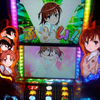 とあるニャンコの超金玉袋（スクロータム）