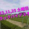 2023,11,25 土曜日 トラックバイアス予想 (東京競馬場、京都競馬場)