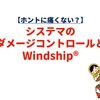 【ホントに痛くない？】システマのダメージコントロールとWindship®
