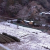 雪化粧