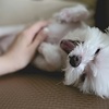 自分の感情に鈍感になると、本音は見えにくくなる