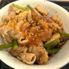松屋 京成高砂店｜牛カルビホルモン丼！ぷりぷりホルモンに生姜も合う！にんにくの芽と七味