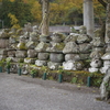 松林寺の五輪塔群　大分県国東市国見町岐部