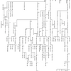 鴻池(1)豪商・鴻池家の系図