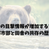 クマの目撃情報が増加する背景｜日本の都市部と田舎の共存の歴史と課題