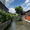 今年の夏は本当におかしい