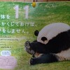 【雑記】心と体を柔らかくしておけば、けがをしません。