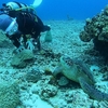 クジラが大当たり！