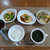 【毎日ご飯】2025年5月23日(金)の食事