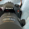 ソニー用のシグマレンズ「180mm F2.8 APO MACRO EX DG OS」を買いました