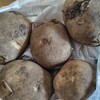 もしかしたら、今月は食費少ないかも
