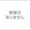 カウントダウンジャパン（CDJ）12/29〈1日券〉ガイドブック付き