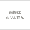 (ピーチ)peach関西空港発→鹿児島空港行10/16(火)