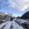 雪が降った