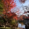 🍁小石川後楽園の紅葉が見頃になってます😊