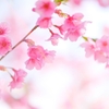 ４月のセッション予約可能日を再掲します＾＾