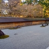 京都　龍安寺　石庭と紅葉落葉　