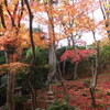 嵐山の紅葉