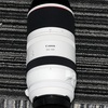 RF100-500mm F4.5-7.1 L IS USM