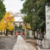 足立区最古の神社「千住神社」で色づいたイチョウを見てきました