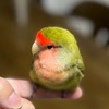 ドッキドキさせてよ♪