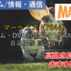 【株式銘柄徹底分析】マーベラス MARVELOUS（7844）～ゲーム・DVD制作 アミューズメント 音楽映像 高配当～