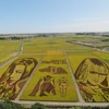 【駅ハイ】埼玉県名発祥の地「行田」の歴史・名所めぐり　2023.10.7（土）