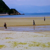 父母ヶ浜かつて「埋め立て反対」今脚光　　