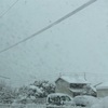 雪、雪、雪  ⛄️