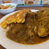 バァニスペシャル（ポラウ、カレー、たまごやき） | BANI バァニ | バングラデシュ料理