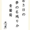 若き日の夢の名残りか青葡萄 