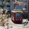 桜の咲く街角・備忘録編⑤『都電荒川線・飛鳥山駅』