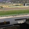 第９回小倉競馬参戦（２月２０日）