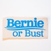 #BernieOrBust（バーニーか破滅か）「クリントンには絶対入れない」と言うサンダース支持者の傲慢