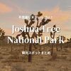 【ジョシュアツリー国立公園】おすすめ観光スポット｜アメリカ国立公園