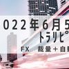 2022年6月5週目 トラリピ損益+25,174円