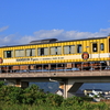 土佐くろしお鉄道　9640-10"阪神タイガース応援列車"