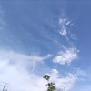 高3長女の体育祭に行ってきました！