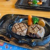 娘と二人で炭焼きレストランさわやか＆御殿場プレミアムアウトレットドライブしてきました。#グルメ #食べ歩き #ハンバーグ #ステーキ 