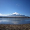 山中湖_富士山と白鳥も・・（山梨県南都留郡山中湖村）