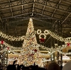 クリスマスディズニーの1日の過ごし方