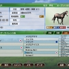2009年終了！ 意外な活躍馬が✨