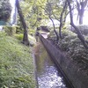 千川上水遊歩道（東京都武蔵野市）