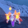 【ポケモンSV】最強メタグロス攻略用ラウドボーンを育てる！