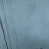 空の色が違う・・。